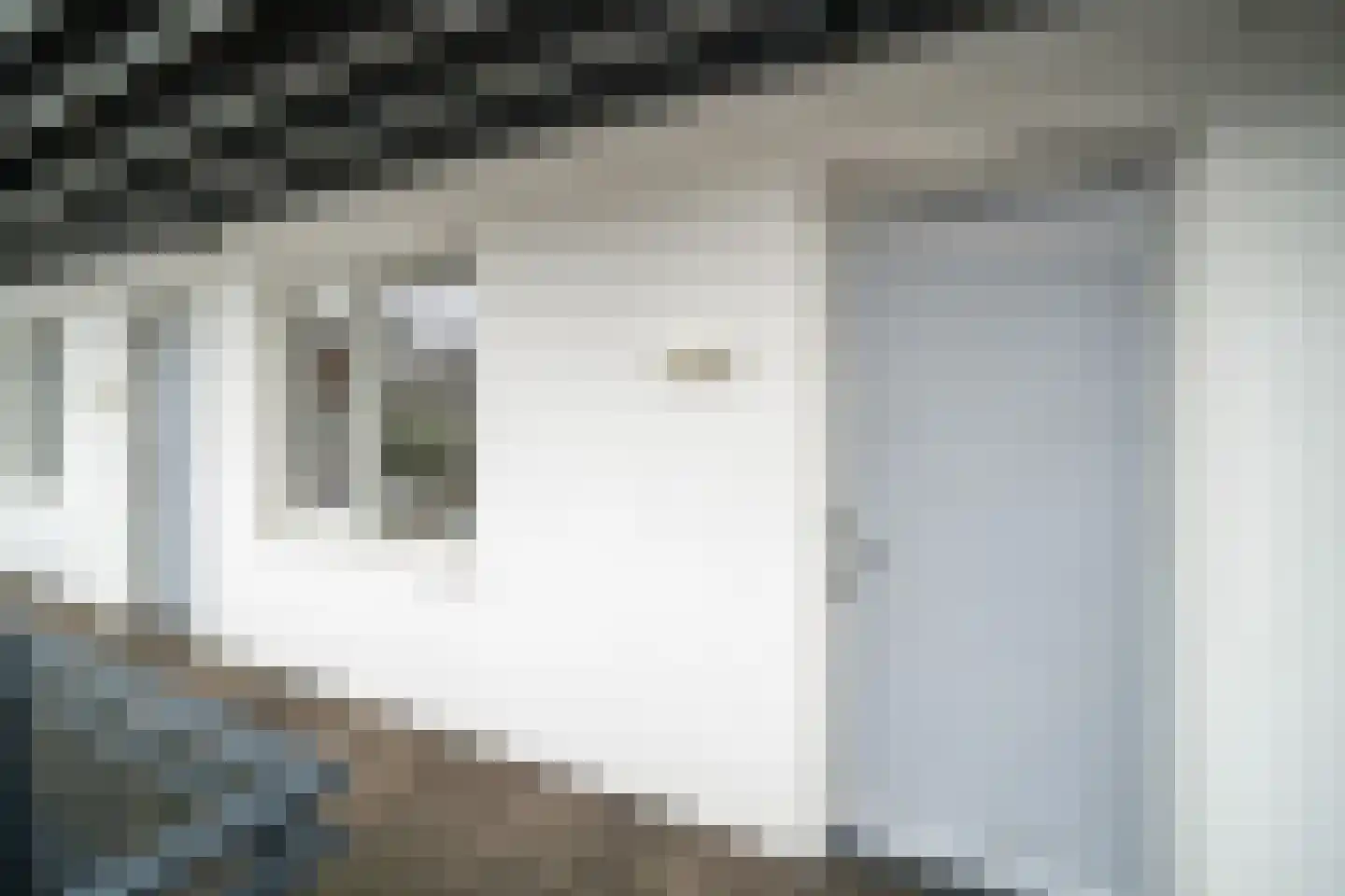 Eerste Oude Heselaan 162 Nijmegen thumbnail 5