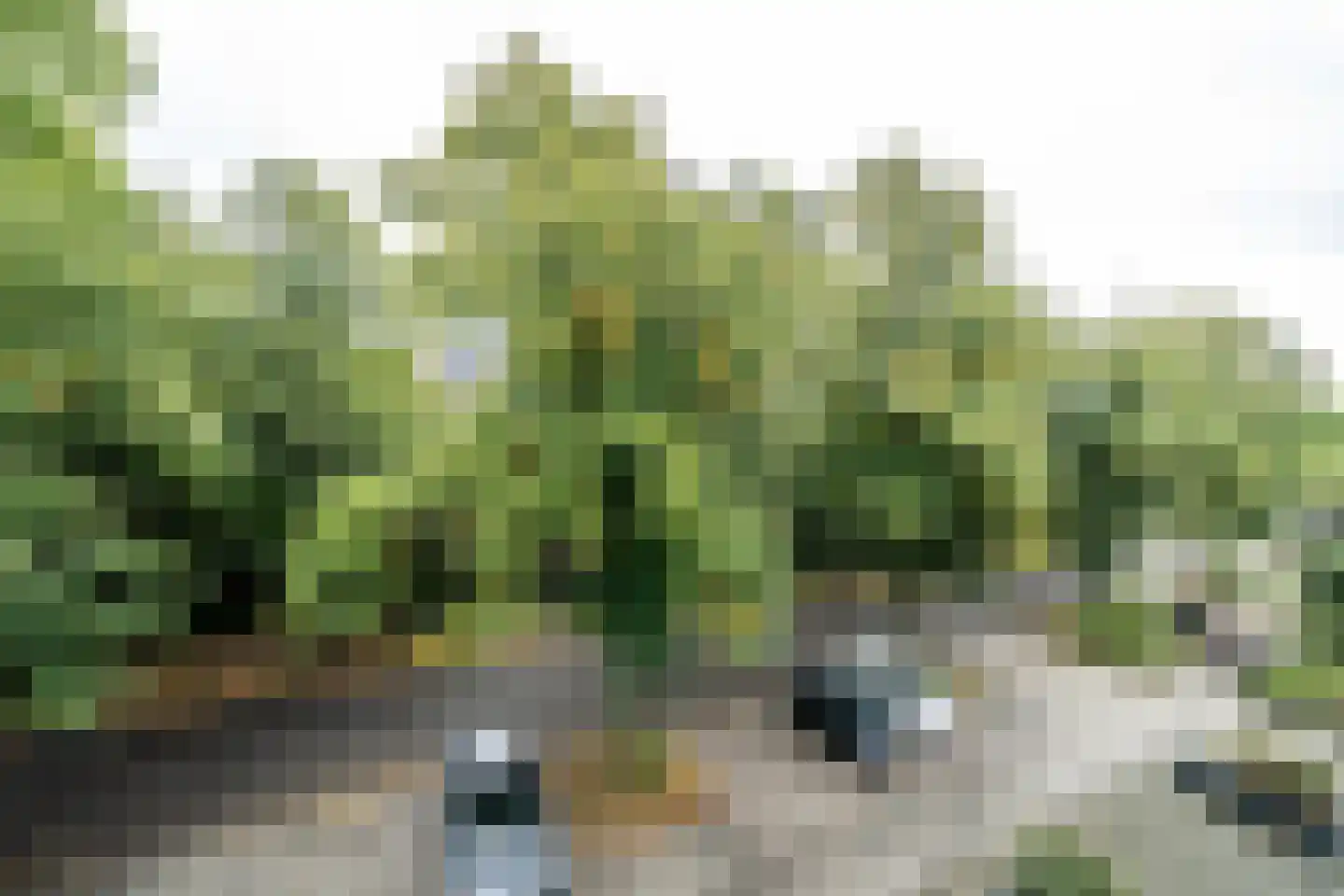 Eerste Oude Heselaan 166 A Nijmegen thumbnail 12