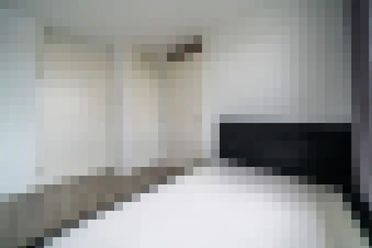 Eerste Oude Heselaan 166 A Nijmegen thumbnail 15