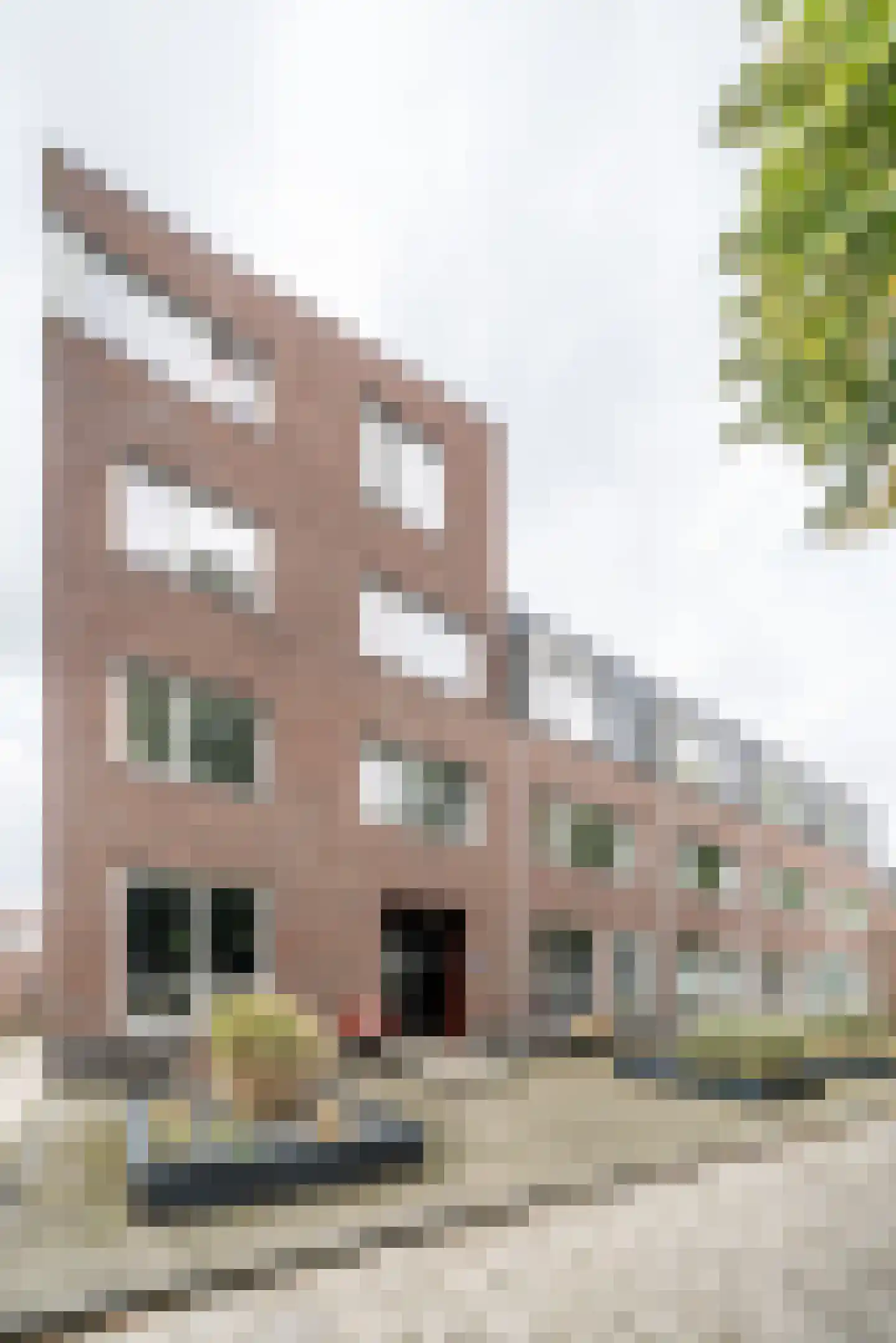 Eerste Oude Heselaan 166 A Nijmegen thumbnail 18