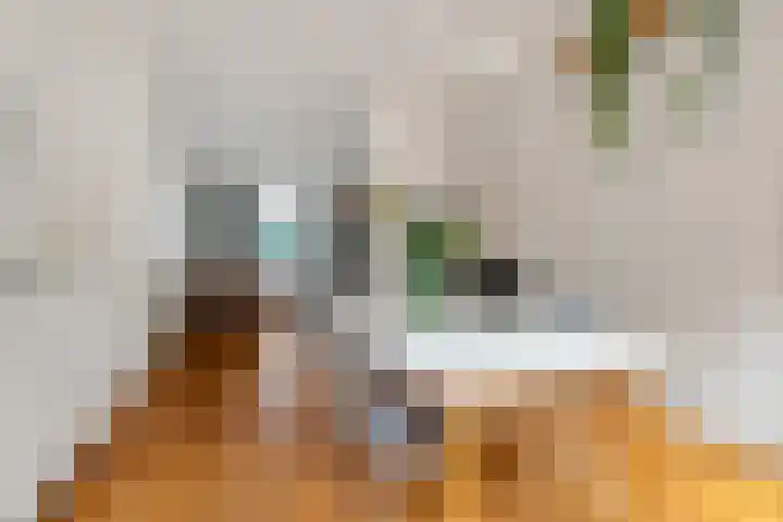 Eerste Oude Heselaan 96 Nijmegen thumbnail 15