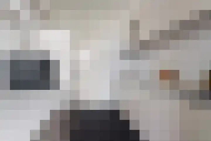 Eerste Oude Heselaan 96 Nijmegen thumbnail 17
