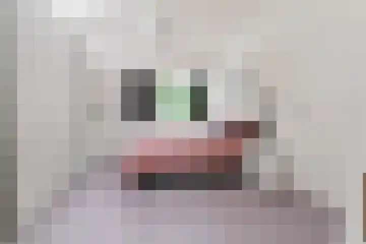Eerste Oude Heselaan 96 Nijmegen thumbnail 22