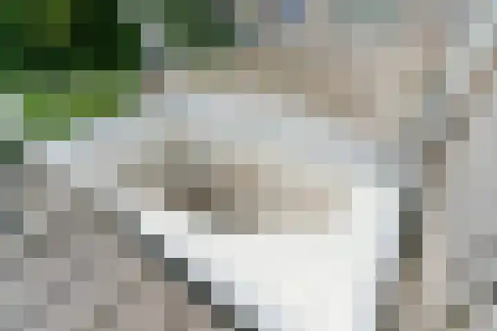 Eerste Oude Heselaan 96 Nijmegen thumbnail 33