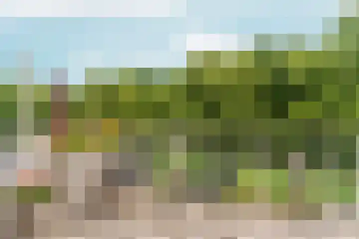 Eerste Oude Heselaan 96 Nijmegen thumbnail 36