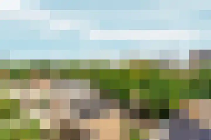 Eerste Oude Heselaan 96 Nijmegen thumbnail 37