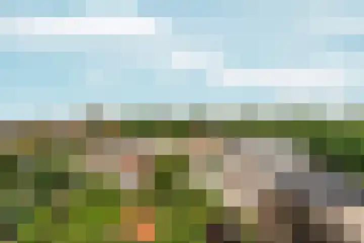 Eerste Oude Heselaan 96 Nijmegen thumbnail 38