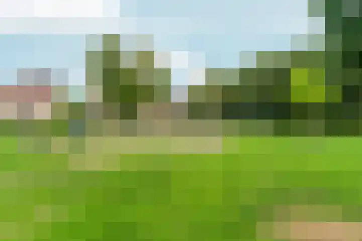 Eerste Oude Heselaan 96 Nijmegen thumbnail 39