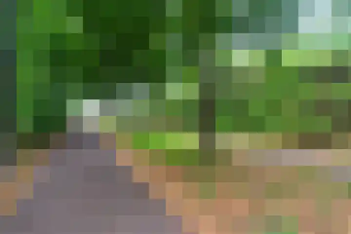 Eerste Oude Heselaan 96 Nijmegen thumbnail 43