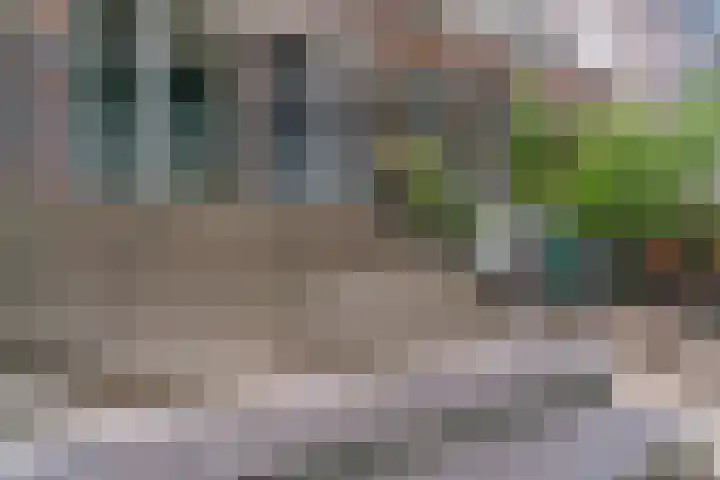 Eerste Oude Heselaan 96 Nijmegen thumbnail 8