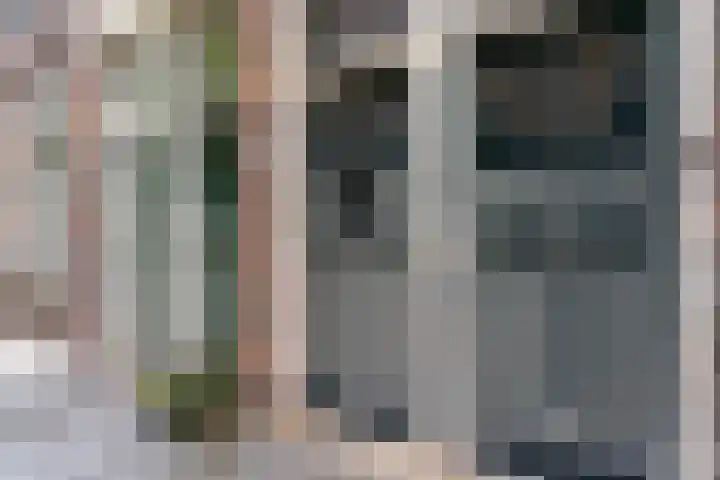 Eerste Oude Heselaan 96 Nijmegen thumbnail 9