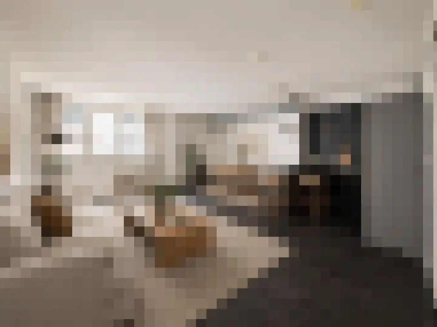 Eerste Passeerdersdwarsstraat 76 Amsterdam thumbnail 21