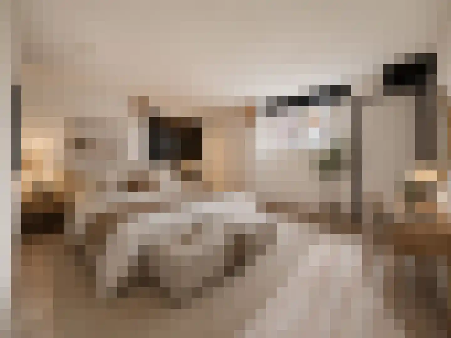 Eerste Passeerdersdwarsstraat 76 Amsterdam thumbnail 4