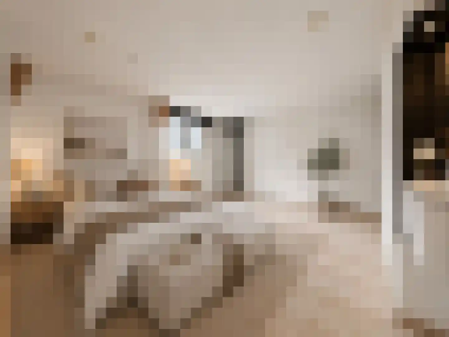 Eerste Passeerdersdwarsstraat 76 Amsterdam thumbnail 4