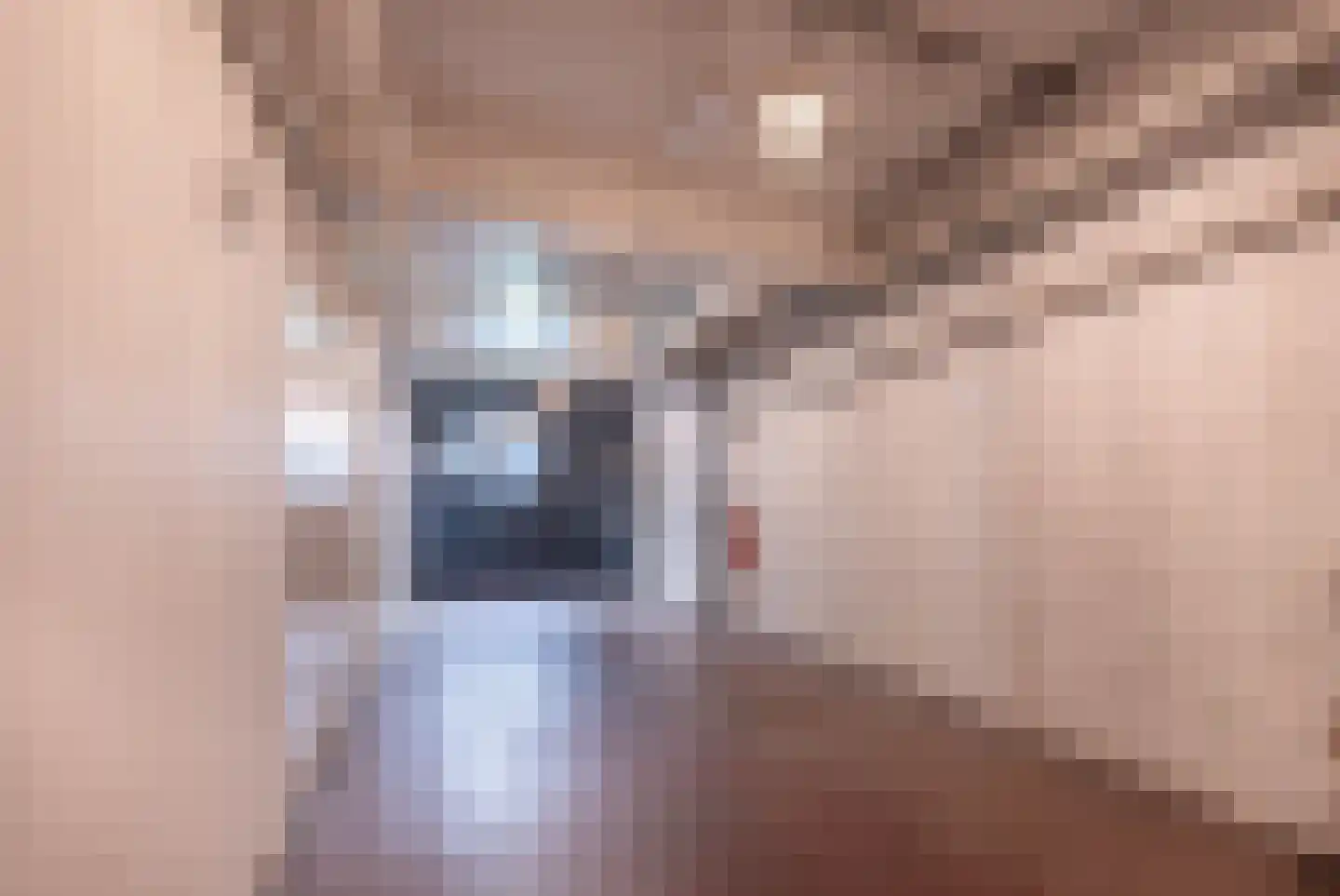 Eerste Passeerdersdwarsstraat 76 Amsterdam thumbnail 6