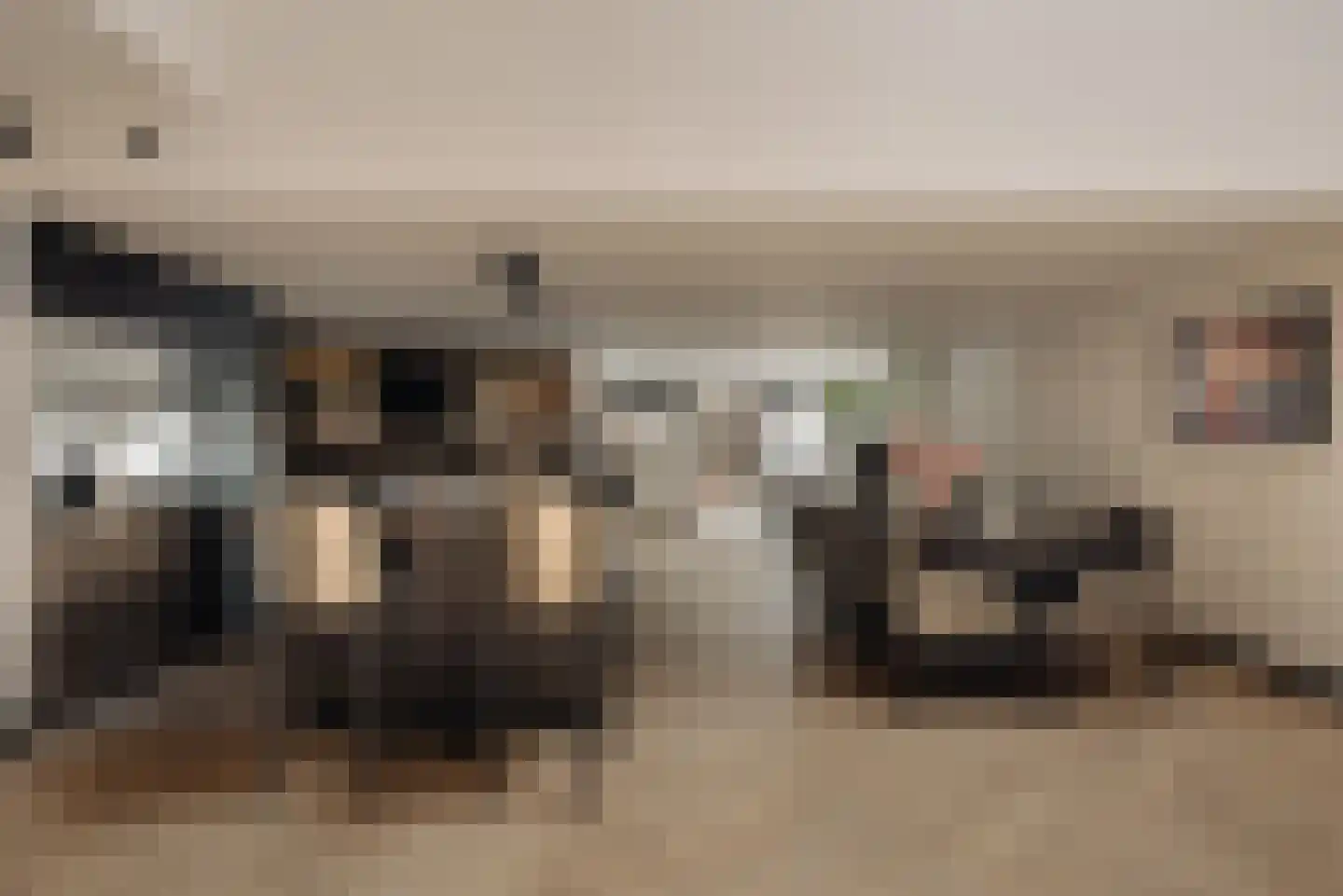 Eerste Passeerdersdwarsstraat 96 Amsterdam thumbnail 12