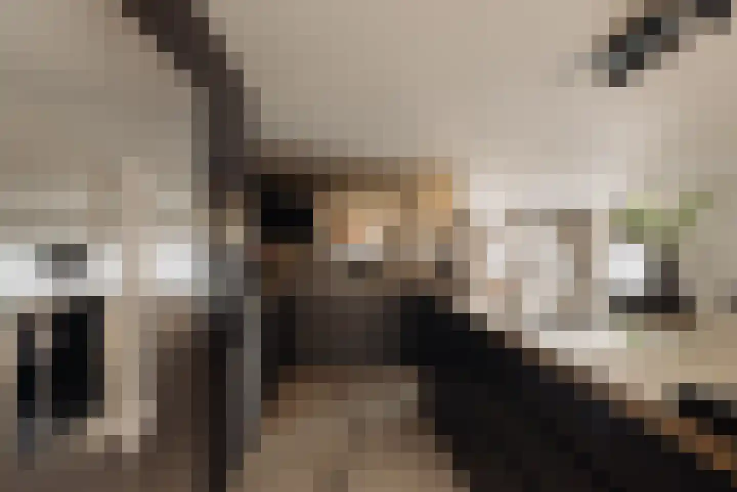 Eerste Passeerdersdwarsstraat 96 Amsterdam thumbnail 14