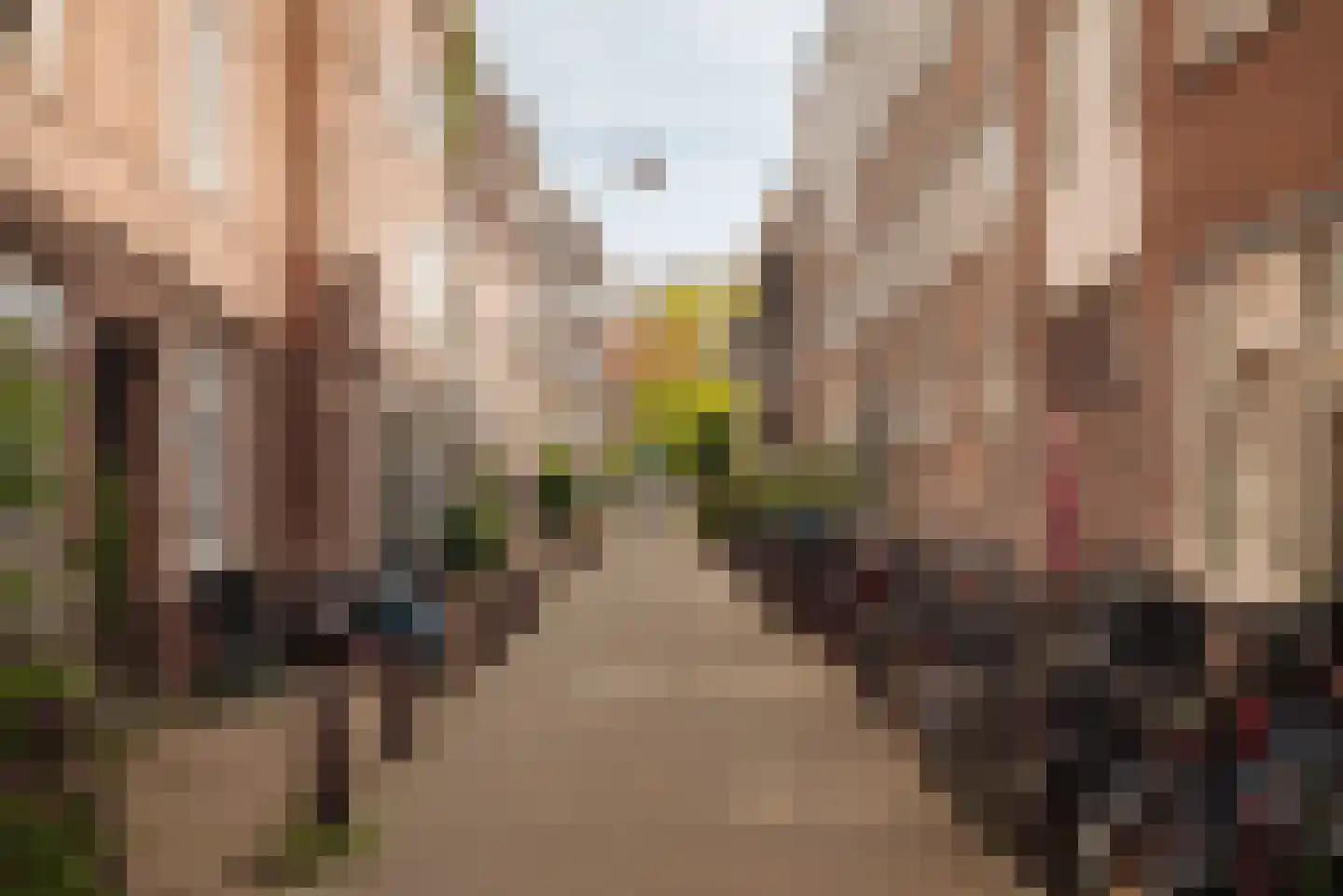 Eerste Passeerdersdwarsstraat 96 Amsterdam thumbnail 24