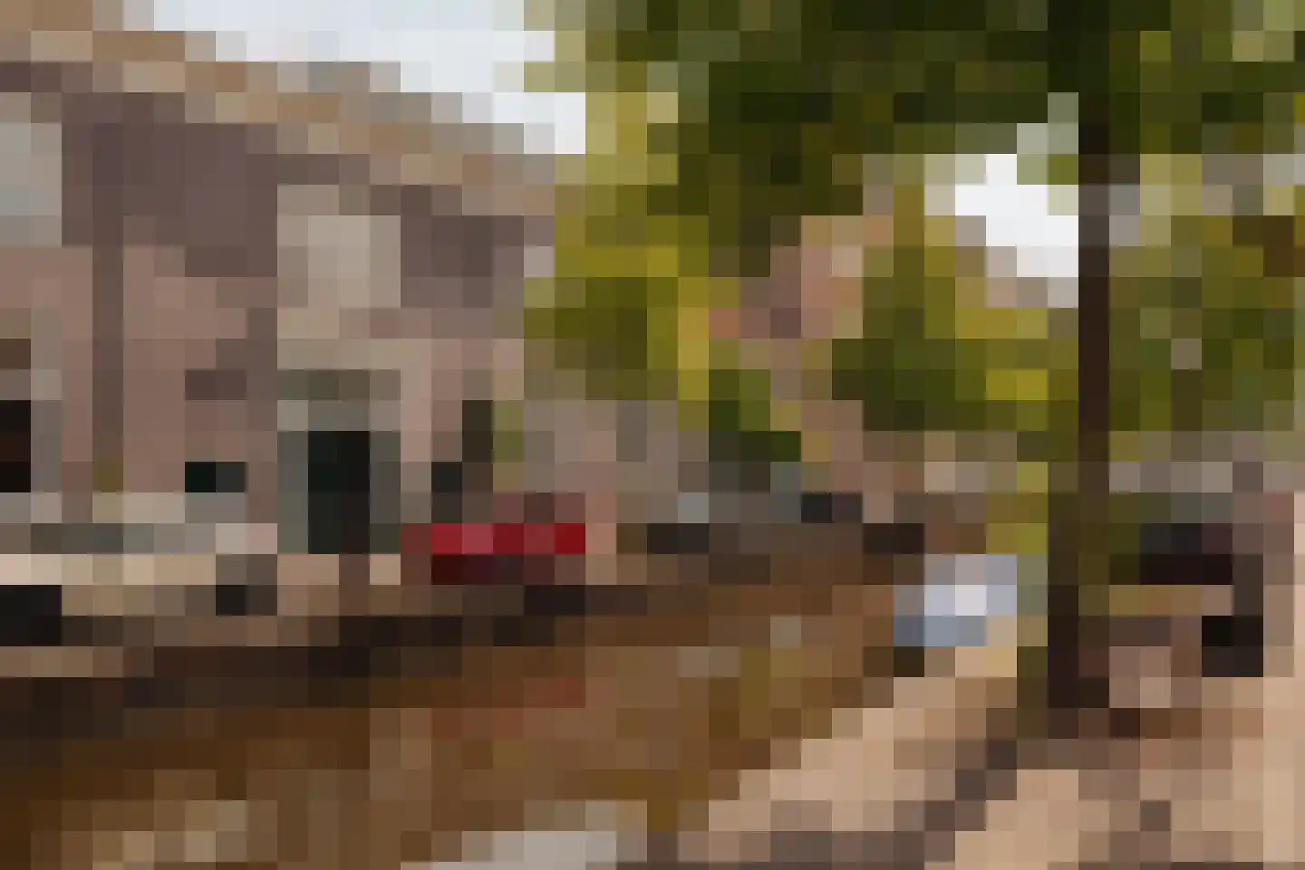 Eerste Passeerdersdwarsstraat 96 Amsterdam thumbnail 26