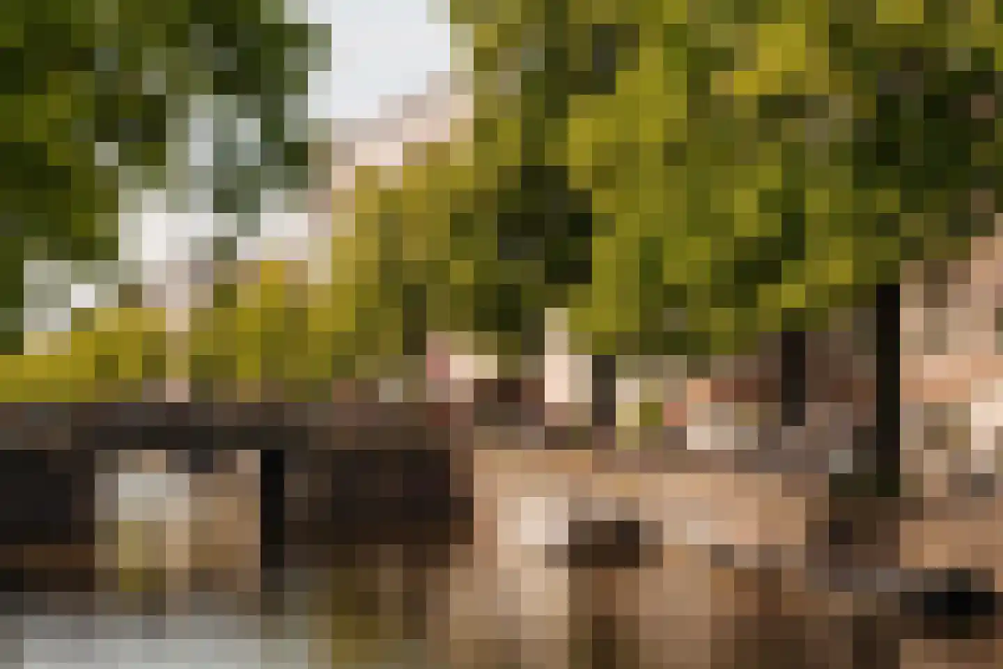 Eerste Passeerdersdwarsstraat 96 Amsterdam thumbnail 28
