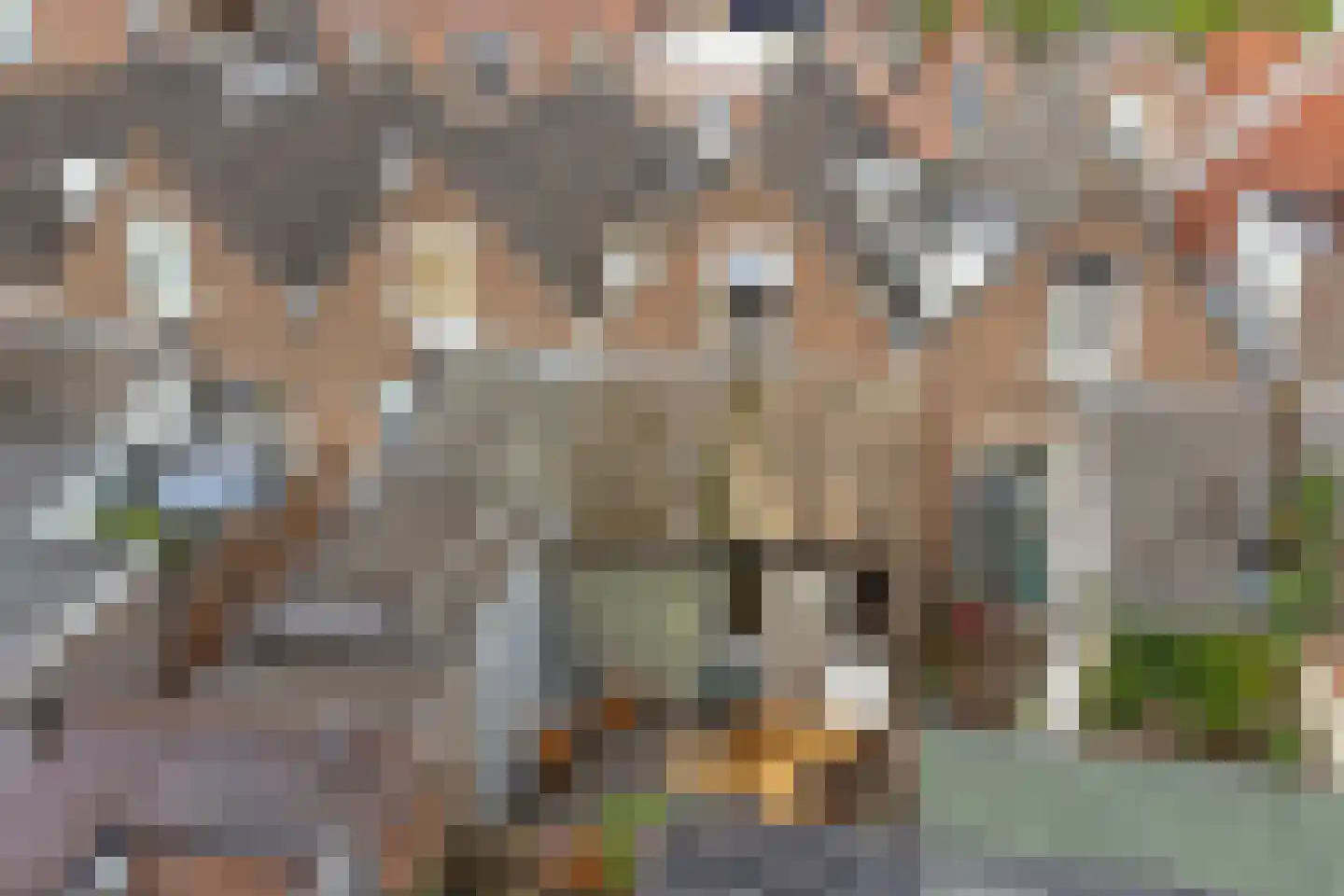 Eerste Reedwarsstraat 12 Dordrecht thumbnail 23