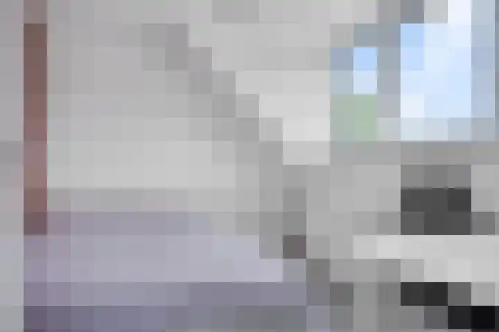 Eerste Reit 12 's-Hertogenbosch thumbnail 25