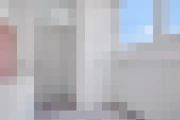 Eerste Reit 12 's-Hertogenbosch thumbnail 28