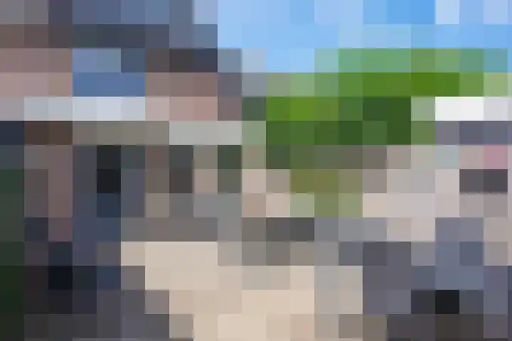 Eerste Reit 12 's-Hertogenbosch thumbnail 31