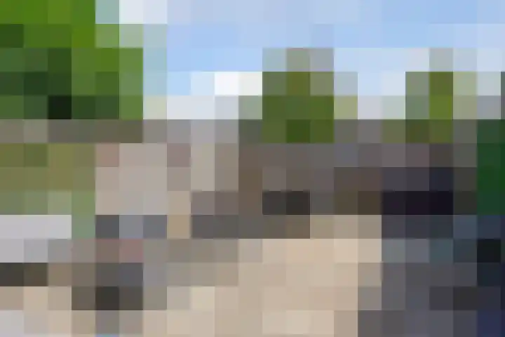 Eerste Reit 12 's-Hertogenbosch thumbnail 33