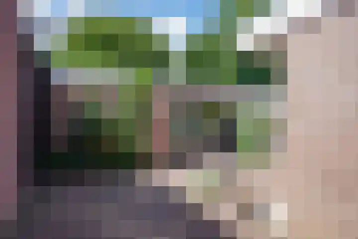 Eerste Reit 12 's-Hertogenbosch thumbnail 35