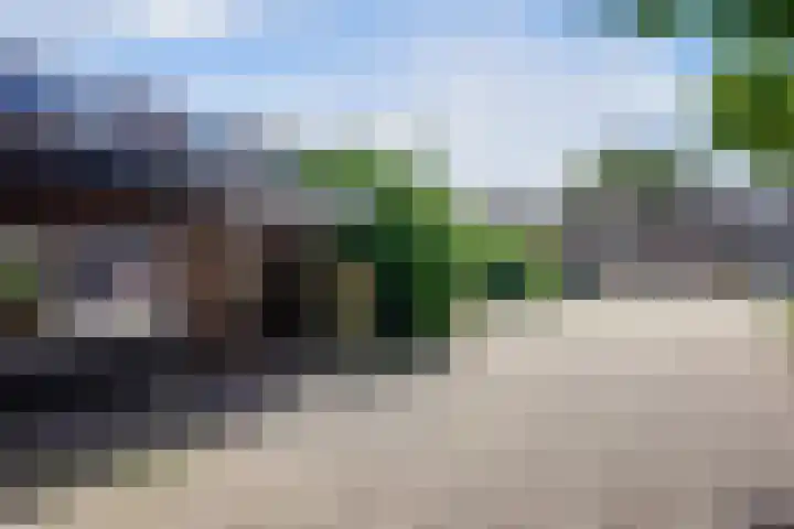 Eerste Reit 12 's-Hertogenbosch thumbnail 36