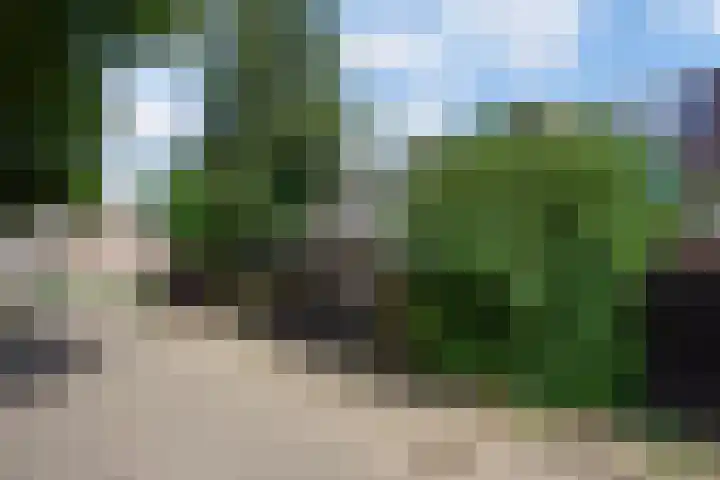 Eerste Reit 12 's-Hertogenbosch thumbnail 37