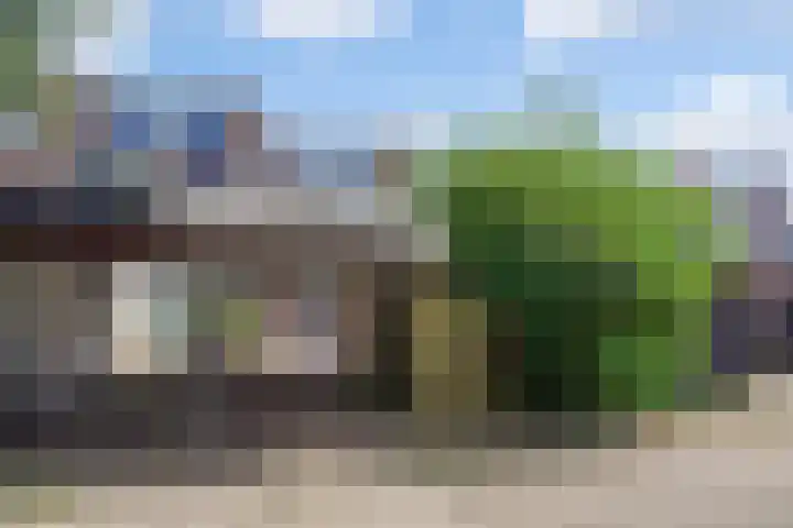 Eerste Reit 12 's-Hertogenbosch thumbnail 38