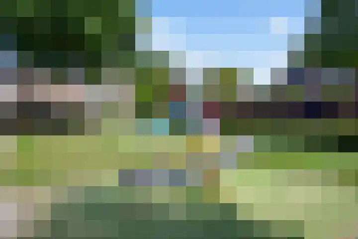 Eerste Reit 12 's-Hertogenbosch thumbnail 39