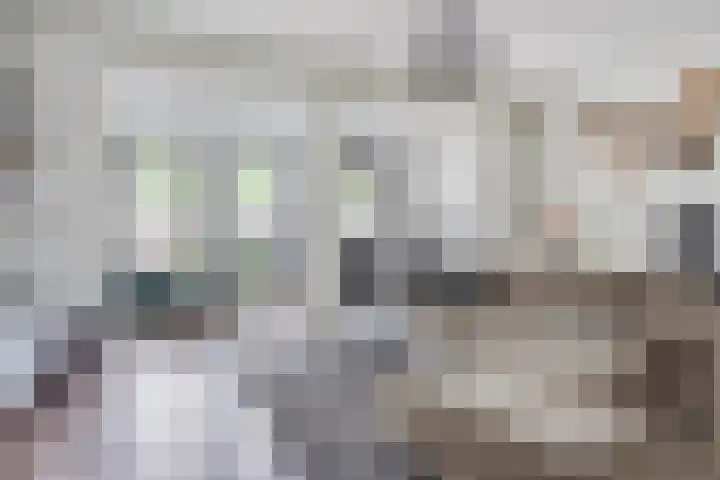 Eerste Reit 12 's-Hertogenbosch thumbnail 5
