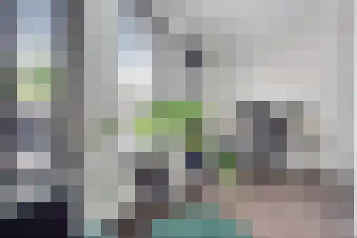 Eerste Reit 12 's-Hertogenbosch thumbnail 7