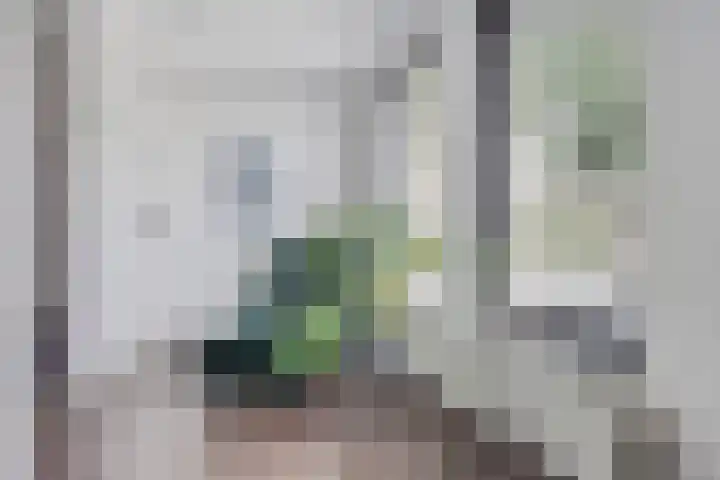 Eerste Reit 12 's-Hertogenbosch thumbnail 8