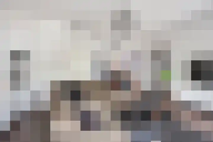 Eerste Reit 12 's-Hertogenbosch thumbnail 9
