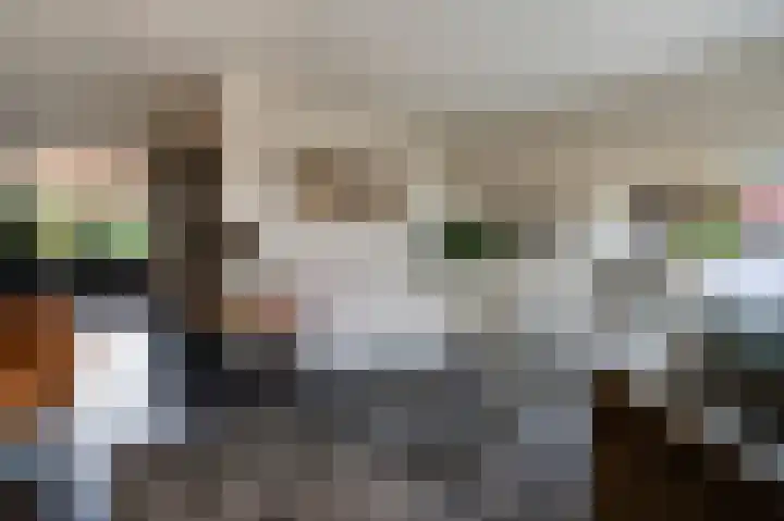 Eerste Rozendwarsstraat 13 2 Amsterdam thumbnail 12