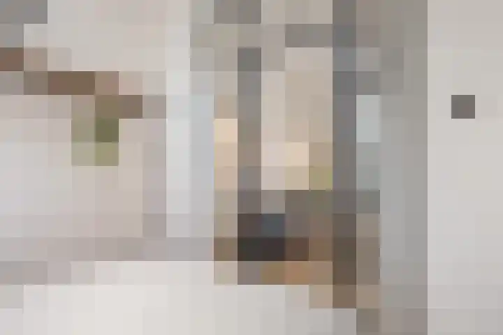 Eerste Rozendwarsstraat 13 2 Amsterdam thumbnail 20