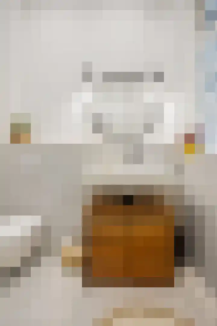 Eerste Rozendwarsstraat 13 2 Amsterdam thumbnail 24