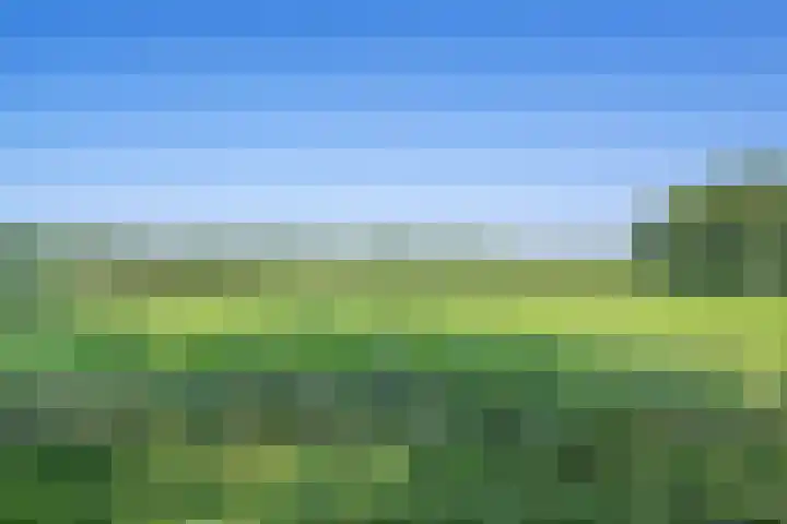 Eerste Schansweg 3 Balkbrug thumbnail 10
