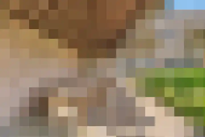 Eerste Schansweg 3 Balkbrug thumbnail 100