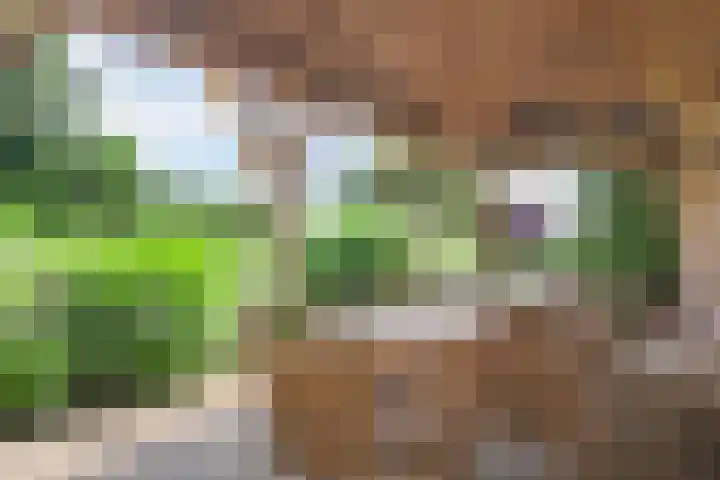 Eerste Schansweg 3 Balkbrug thumbnail 101