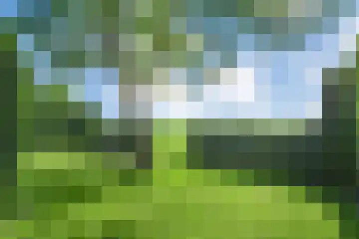 Eerste Schansweg 3 Balkbrug thumbnail 104