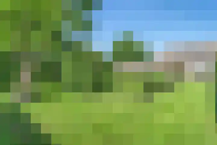 Eerste Schansweg 3 Balkbrug thumbnail 105