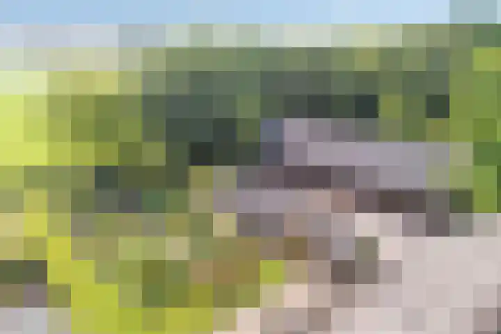 Eerste Schansweg 3 Balkbrug thumbnail 106