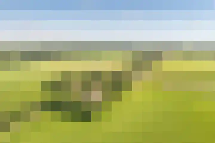 Eerste Schansweg 3 Balkbrug thumbnail 107