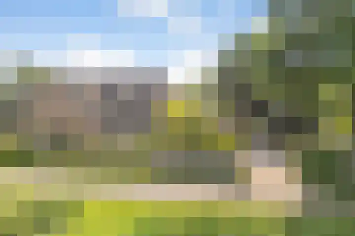 Eerste Schansweg 3 Balkbrug thumbnail 108