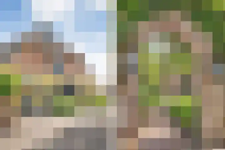 Eerste Schansweg 3 Balkbrug thumbnail 11